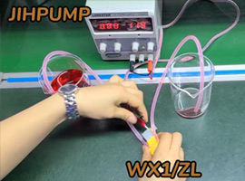 杰恒WX1/ZL微型蠕動(dòng)泵運轉演示