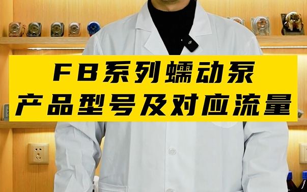FB系列蠕動(dòng)泵產(chǎn)品型號及對應流量